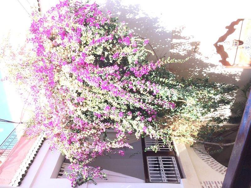 达巴尔米拉庭院旅馆